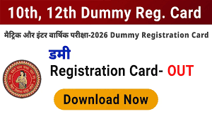 Bihar Board Class 10th & 12th Dummy Registration Card Download Now
