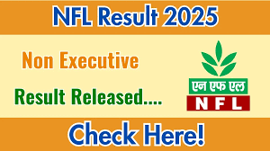 NFL Executives Various Post 2024 Result / Score Card Download Now